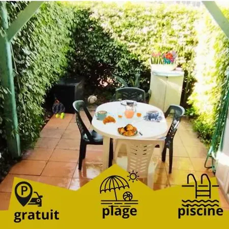 Mimosa Cote Et Piscine